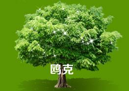 相關問題解決方案資料整理中